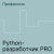 Профессия Python-разработчик PRO